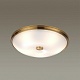 потолочный светильник odeon light walli pelow 4956/5
