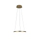 подвесной светодиодный светильник loft it ring 10014s