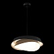 подвесная люстра loft it petale 10256p black