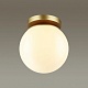 потолочный светильник odeon light 4247/1c