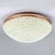 потолочная люстра modelux ml.2320.700 gd