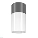 уличный потолочный светильник maytoni willis o418cl-01gr
