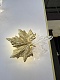 настенный светодиодный светильник odeon light eva 4371/3wl