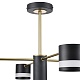 люстра на штанге lumion lanika 8240/8c