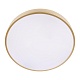 потолочный светодиодный светильник loft it flims 10228/a