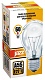 лампа накаливания jazzway e27 40w 2700k прозрачная 3326623