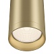 потолочный светильник maytoni focus c010cl-01mg