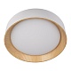 потолочный светодиодный светильник loft it coin 10202 white