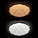 потолочный светодиодный светильник arte lamp biscotti a2676pl-72wh