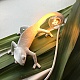 настенный светильник chameleon going up usb seletti
