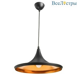 Подвесной светильник Arte Lamp Cappello A3406SP-1BK