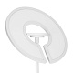 торшер citilux loong cl810030