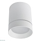 потолочный светодиодный светильник arte lamp a1909pl-1wh