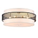 потолочный светильник lumion animaisa 8002/6c