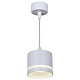 подвесной светильник reluce 53001-0.9-001ld gx53 wt