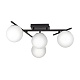 настенно-потолочный светильник citilux dorsy cl223142