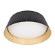 потолочный светодиодный светильник loft it evans 10224 black