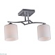 потолочная люстра omnilux pisticci oml-55307-02