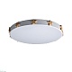 потолочный светодиодный светильник loft it axel 10006/36 white