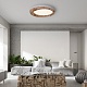 потолочный светильник imperiumloft runis 219474-26