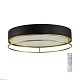 потолочный светодиодный светильник sonex avra lofty 7723/100l