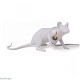 настольная лампа mouse lamp lyie down usb seletti