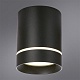 потолочный светодиодный светильник arte lamp elle a1949pl-1bk