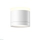 потолочный светильник maytoni technical pauline c120cl-gx53-w
