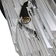 люстра odeon 6 kr0387p-6 black/clear delight collection