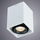 потолочный светильник arte lamp a5655pl-1wh