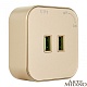 трековая розетка arte milano am-track-sockets 380022ts/usbx2 gold