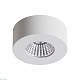потолочный светодиодный светильник odeon light bene 4282/7cl