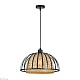 подвесной светильник arte lamp woodstock a7071sp-1bk