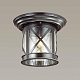 уличный светильник odeon light nature sation 4045/1c