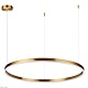 подвесной светодиодный светильник lumion ledio echo 6531/67l