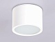 потолочный светильник ambrella light techno spot ip protect tn6550