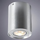 потолочный светильник arte lamp a5644pl-1si