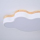 потолочная люстра imperiumloft cloud eco 189500-26