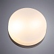 потолочный светильник arte lamp aqua-tablet a6047pl-2ab