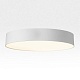 накладной светильник citilux bart cl755390