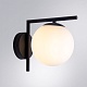 бра arte lamp bolla-unica a1924ap-1bk