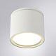 уличный потолочный светильник arte lamp piautos a1913pf-1wh