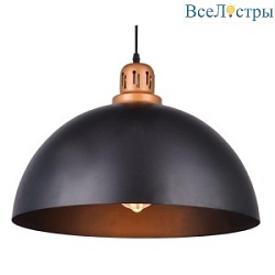 Подвесной светильник Arte Lamp Eurica A4249SP-1BK