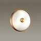 настенно-потолочный светильник odeon light pelow 4956/2
