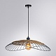 подвесной светильник arte lamp woodstock a7061sp-1bk