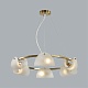 подвесная люстра lumion fioro 6571/6