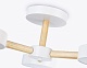 люстра на штанге ambrella light comfort linetech fl4821
