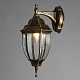 уличный настенный светильник arte lamp pegasus a3152al-1bn