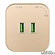 трековая розетка arte milano am-track-sockets 380022ts/usbx2 gold