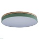 потолочный светодиодный светильник loft it axel 10001/36 green